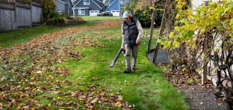 Gardening in autumn with a focus on leaf removal using a blower.