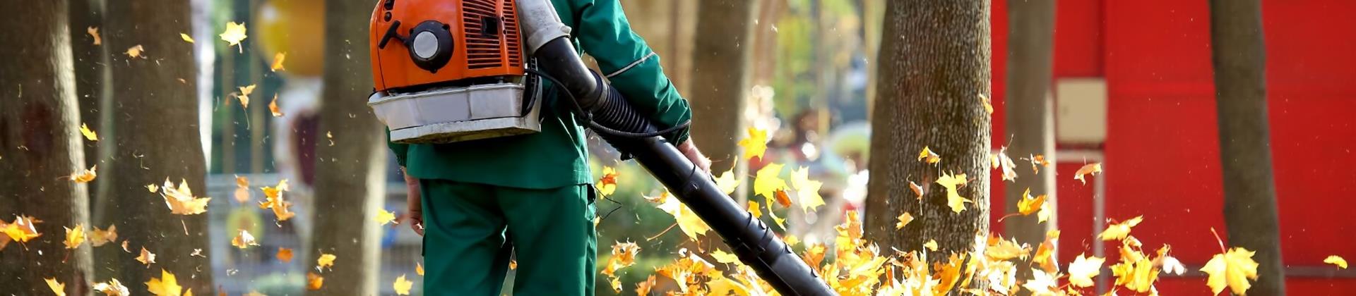 Expert Fall Cleanup Services in Idaho’s Treasure Valley