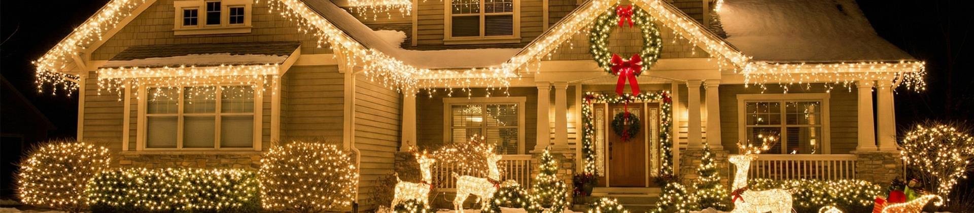 Professional Christmas Light Installation in the Treasure Valley