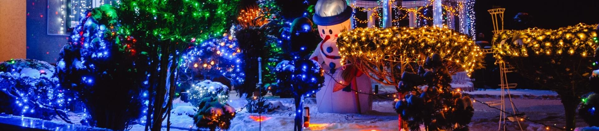 Professional Christmas Light Installation in the Treasure Valley