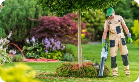 landscaping-cleaning