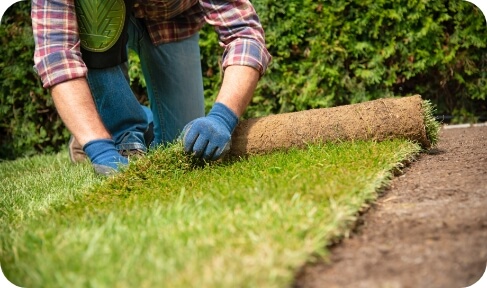 landscaping-lawn-maintenance