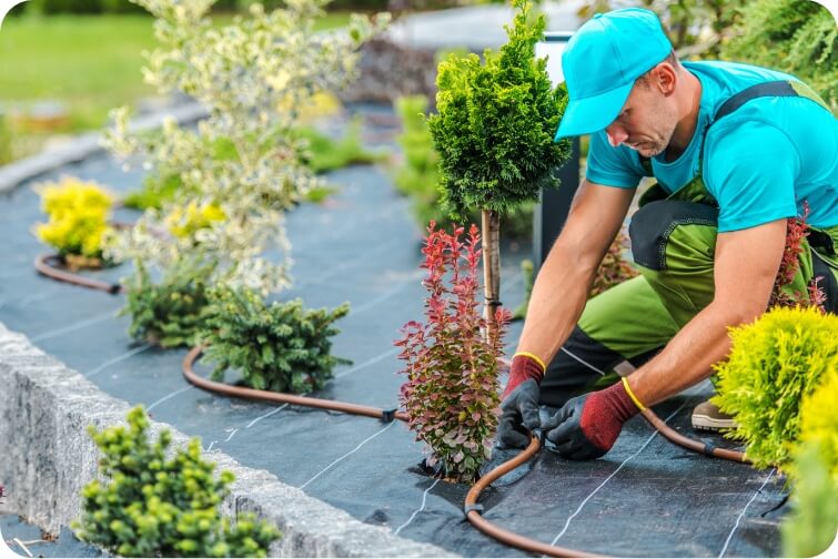 planting-and-landscaping-nampa
