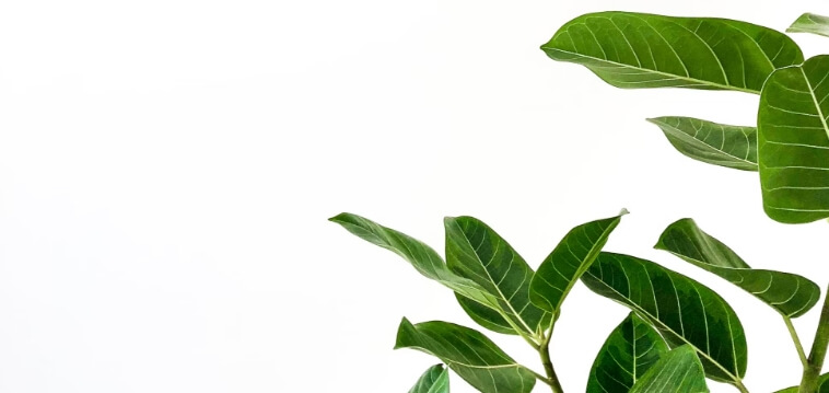 Educating Our Community