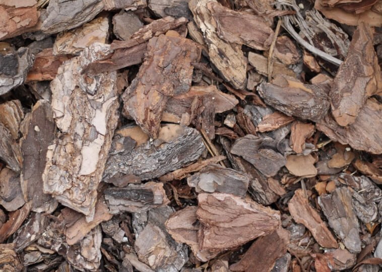 How Tree Service in Nampa Idaho can help you