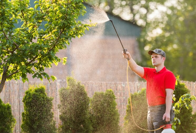 Tree Disease and Pest Management