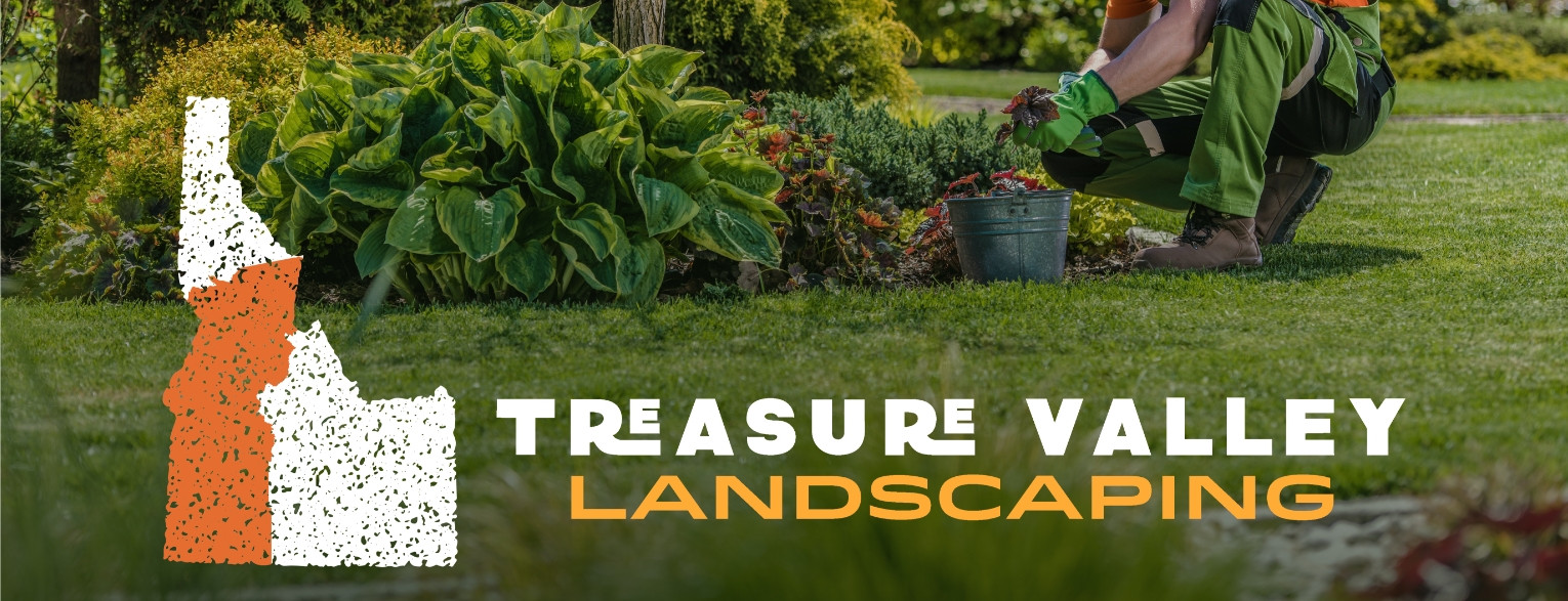 tv-landscaping